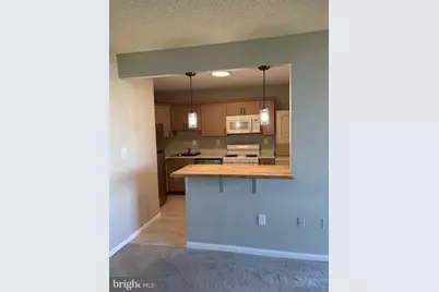 3701 S George Mason Drive #808N, Falls Church, VA 22041 - Photo 4
