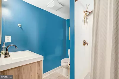 6404 Potomac Avenue, Alexandria, VA 22307 - Photo 30