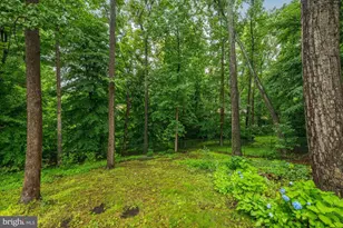 925 Woburn Ct, McLean, VA 22102 - Photo 54
