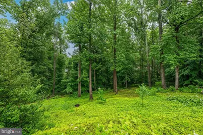 925 Woburn Court, McLean, VA 22102 - Photo 52