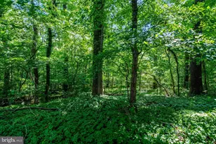 4509 Twinbrook Rd, Fairfax, VA 22032 - Photo 62