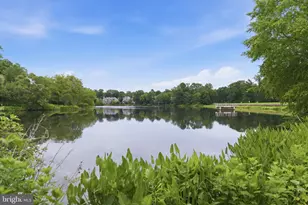 1608 Woodstock Ln, Reston, VA 20194 - Photo 66