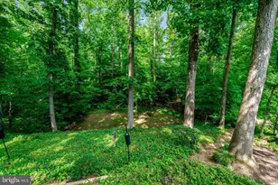 8640 Victoria Rd, Springfield, VA 22151 - Photo 68