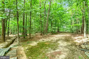 8261 Roseland Dr, Fairfax Station, VA 22039 - Photo 142