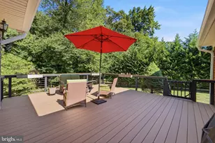 4832 Martin St, Alexandria, VA 22312 - Photo 20