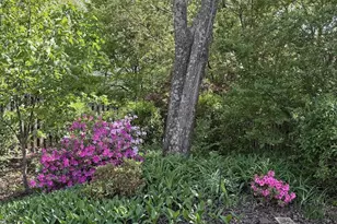 13805 Valley Country Dr, Chantilly, VA 20151 - Photo 18