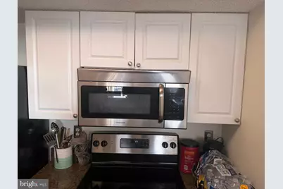 5505 Seminary Road #1313N, Falls Church, VA 22041 - Photo 10