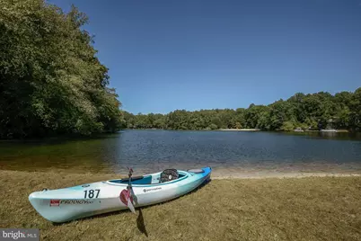 3431 Greentree Drive, Falls Church, VA 22041 - Photo 58