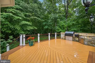 512 Seneca Green Way, Great Falls, VA 22066 - Photo 134