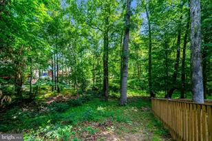 7217 Reservation Dr, Springfield, VA 22153 - Photo 54
