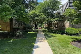 3123 Patrick Henry Dr, Falls Church, VA 22044 - Photo 14