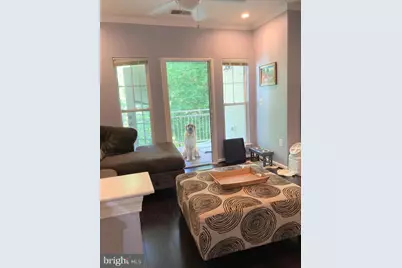 1509 N Point Drive #303, Reston, VA 20194 - Photo 4