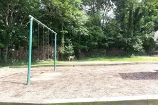 2610 Indian Dr, Alexandria, VA 22303 - Photo 30