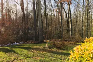 11951 Heathcote Ct, Reston, VA 20191 - Photo 14