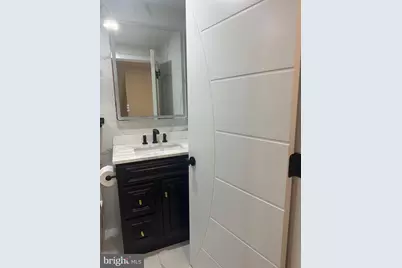 2289 Dosinia Court, Reston, VA 20191 - Photo 48
