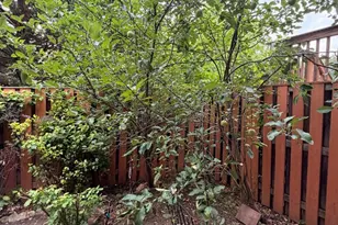 8818 Ridge Hollow Ct, Springfield, VA 22152 - Photo 6