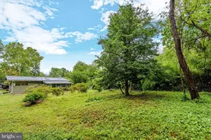 7819 Sycamore Dr, Falls Church, VA 22042 - Photo 44