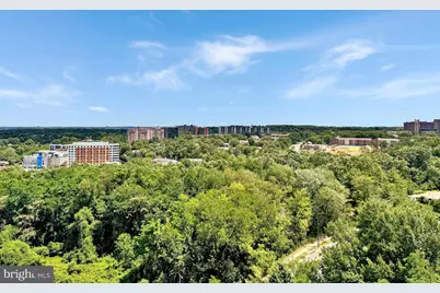 3705 S George Mason Drive #1309S, Falls Church, VA 22041 - Photo 22