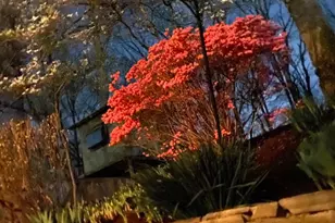 7623 Mendota Pl, Springfield, VA 22150 - Photo 64