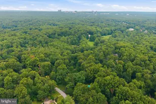 10516 Walter Thompson Dr, Vienna, VA 22181 - Photo 52