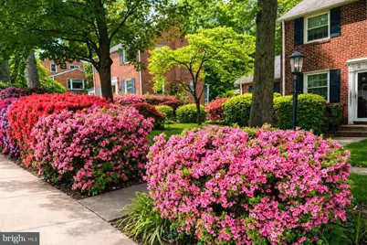 2631 Woodley Place, Falls Church, VA 22046 - Photo 4