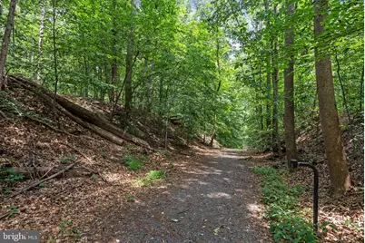 9221 Weant Drive, Great Falls, VA 22066 - Photo 36