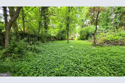 1644 La Salle Avenue, McLean, VA 22102 - Photo 8