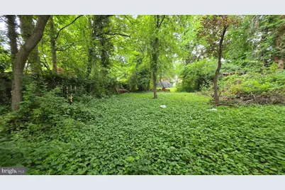 1644 La Salle Avenue, McLean, VA 22102 - Photo 4