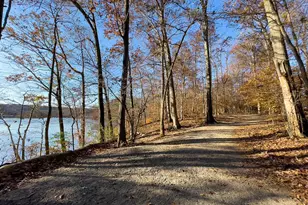 8402 Uxbridge Ct, Springfield, VA 22151 - Photo 52