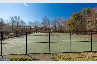 6608 Netties Lane #1411, Alexandria, VA 22315 - Photo 38