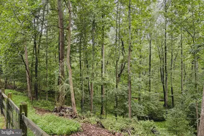 11734 Quay Road, Oakton, VA 22124 - Photo 46