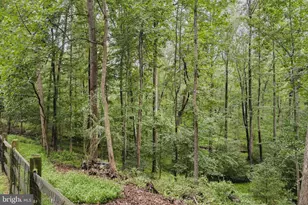 11734 Quay Rd, Oakton, VA 22124 - Photo 46