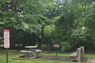 8181 Carnegie Hall Ct, Vienna, VA 22180 - Photo 24