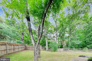 6800 Moon Rock Ct, Alexandria, VA 22306 - Photo 54