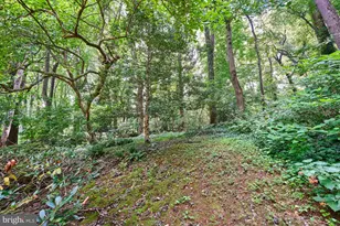 3606 Bent Branch Ct, Falls Church, VA 22041 - Photo 52