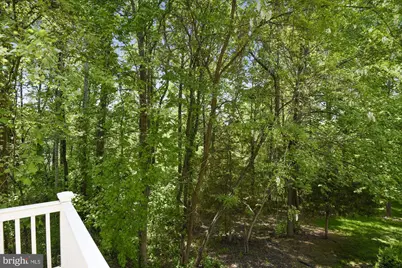6087 Piney Woods Court, Alexandria, VA 22315 - Photo 26