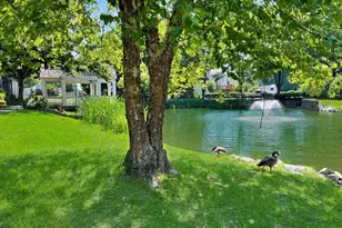 4600 King Duncan Rd, Alexandria, VA 22312 - Photo 84