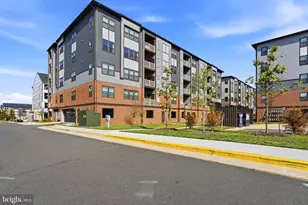 4399 Peach Lily Ln, Chantilly, VA 20151 - Photo 42
