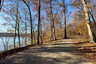7501 Nancemond St, Springfield, VA 22150 - Photo 50