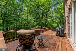 3431 Putnam St, Falls Church, VA 22042 - Photo 100
