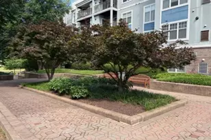 5563 Seminary Rd, Falls Church, VA 22041 - Photo 16