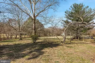 326 Walker Rd, Great Falls, VA 22066 - Photo 46