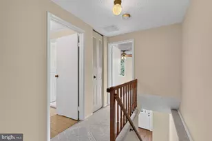 6313 Sunset Terrace, Springfield, VA 22153 - Photo 12