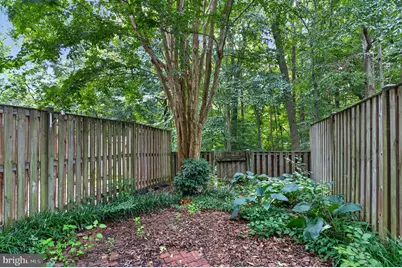 6313 Sunset Terrace, Springfield, VA 22153 - Photo 24