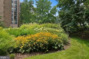 5901 Mt Eagle Dr, Alexandria, VA 22303 - Photo 84