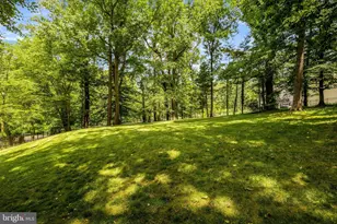 7845 Old Dominion Dr, McLean, VA 22102 - Photo 24