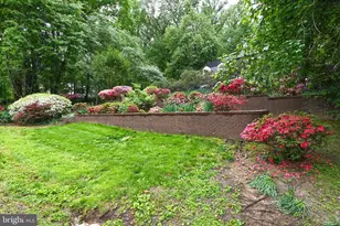 7845 Old Dominion Dr, McLean, VA 22102 - Photo 10
