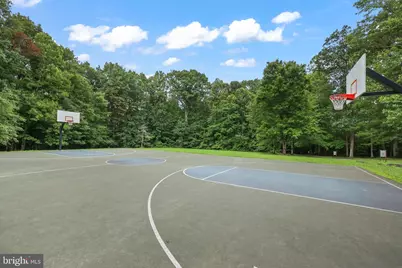 7315 Golden Horseshoe Court, Springfield, VA 22153 - Photo 38