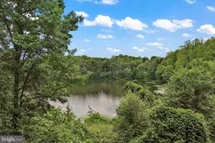 7315 Golden Horseshoe Ct, Springfield, VA 22153 - Photo 44