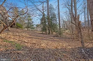 1215 Delta Glen Ct, Vienna, VA 22182 - Photo 68